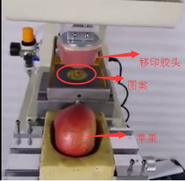 看了同行，才知道移印硅膠在水果上也有應用